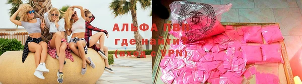 стафф Алзамай