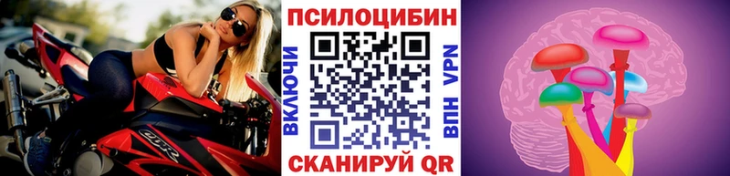Псилоцибиновые грибы мицелий  купить наркотик  Волхов 